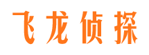 根河市侦探调查公司